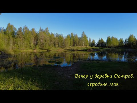 Видео: Вечер у деревни Остров, середина мая.