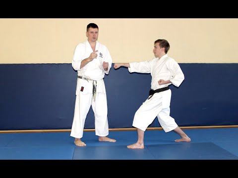 Видео: Технический Семинар "Открытое Кумите - 2020". Постройка удара