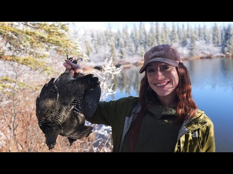 Видео: Круглосуточный кемпинг, охота и исследование отдаленного вулкана на Аляске