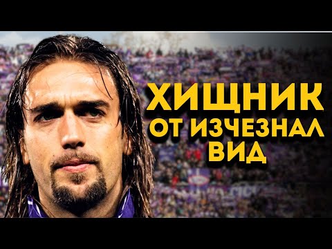 Видео: В наши дни няма такъв нападател!