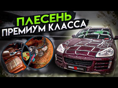 Видео: ПЛЕСЕНЬ ПРЕМИУМ КЛАССА! Полный разбор Porsche Cayenne #ОТМЫЛИ