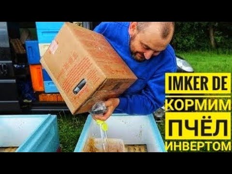 Видео: #Пасека в Германии: кормим #пчел инвертом