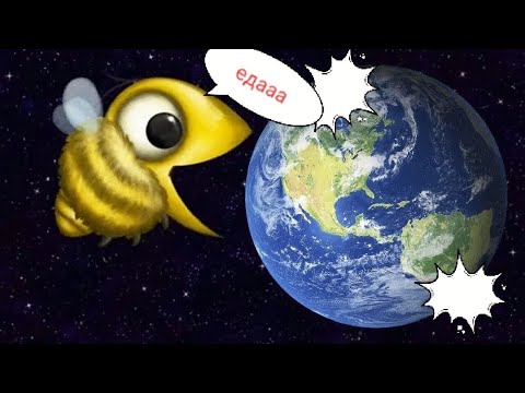 Видео: Пчела съела землю!!!