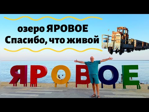 Видео: Курорт ЯРОВОЕ: спасибо, что живой! Как выжить в суровых испытаниях Алтайского края 😱