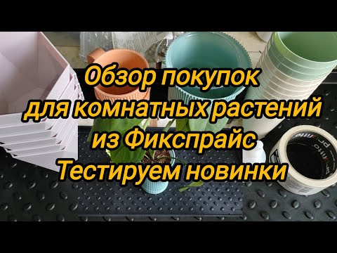 Видео: Обзор покупок для комнатных растений из Фикспрайс. Протестируем новинки.