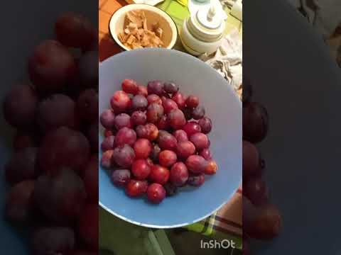 Видео: 08 сентября 2025 слива и рыжики