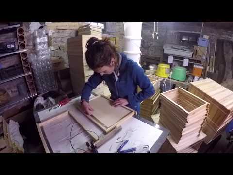 Видео: пчеловодство во франции