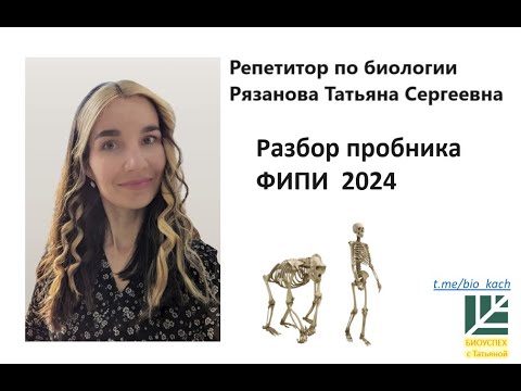 Видео: Разбор пробника ФИПИ 2024