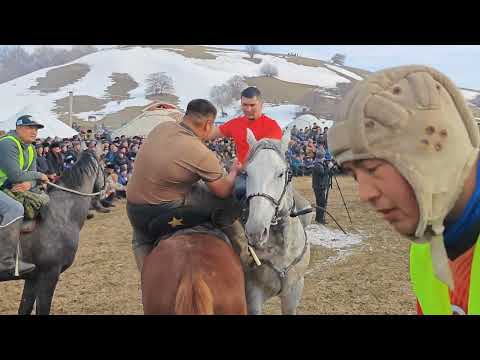 Видео: Улак башталды эниши менен чыкты