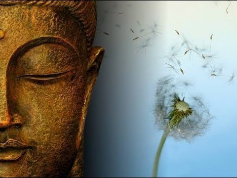 Видео: Дисциплина в Медитации и что развивается при регулярной практики?