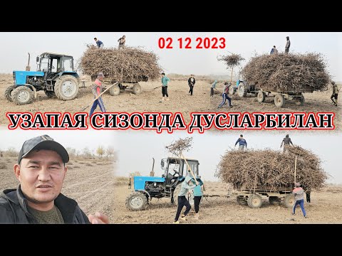 Видео: МАНА БУГИН УЗАПАЯ ДУСЛАР БИЛАН ОРТИК СИРОЖ ОШНАНИКИДА