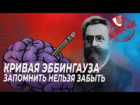 Видео: Как запоминать без зубрежки?