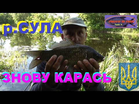 Видео: #РибачуЯкУмію#Сула Знову за карасем