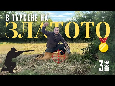 Видео: Лов на сръндак с 6.5 creedmoore ! В търсене на златото ЕП. 3