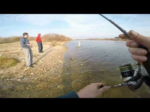 Видео: БЕРЕГОВОЙ ДЖИГ На ОКЕ. Всех  ПОЙМАЛ! Всех РАЗДАЛ)
