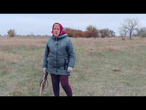 Видео: Холодно! Быстро бежим забирать коров