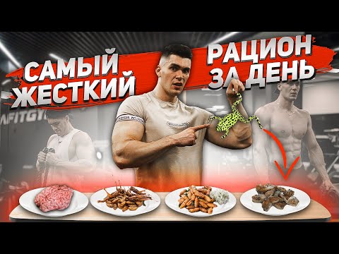 Видео: Весь День Питаюсь САМЫМИ НЕОБЫЧНЫМИ Блюдами