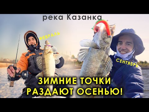 Видео: Проверил зимние точки, а там тучи судаков! Казанка.