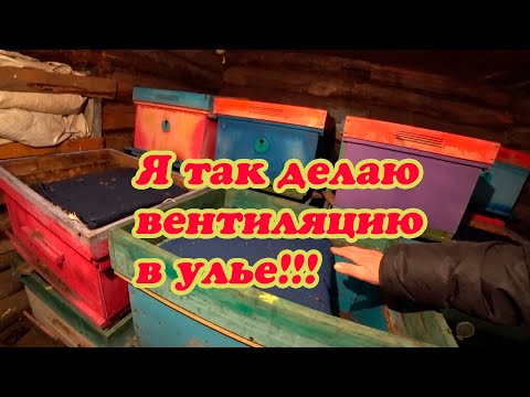 Видео: ВЕНТИЛЯЦИЯ В УЛЬЕ У ЗИМУЮЩИХ ПЧЕЛОСЕМЕЙ НА ВОЛЕ И В ЗИМОВНИКЕ, КАК Я ДЕЛАЮ.