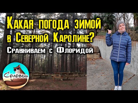 Видео: Зима в Северной Каролине. Сравнение с Флоридой