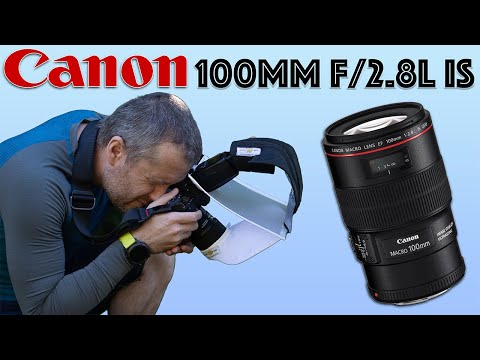 Видео: Стоит ли покупать Canon EF 100mm f/2.8L IS? | Долгосрочный обзор