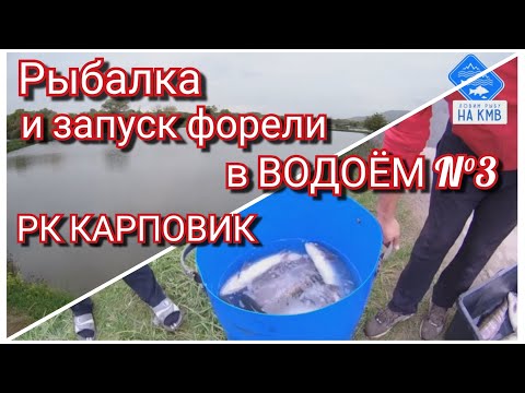 Видео: Рыбалка КМВ. Запуск форели в водоём N°3. РК КАРПОВИК.