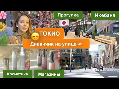 Видео: Весенняя Прогулка 🌸ТОКИО🇯🇵  Sensai бьюти новинки 🌱 Сакура и Икебаны 🛋Белые диванчики на улице