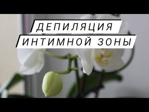 Видео: Депиляция интимной зоны.