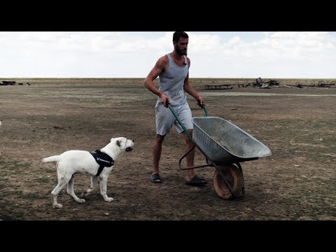 Видео: Баранья ферма: разведение овец как бизнес. Часть 2