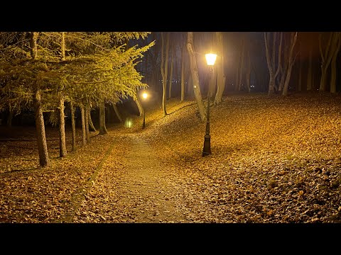 Видео: карта побиту та інші справи іноземців. тел 730150901