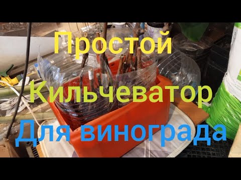 Видео: Простой Кильчеватор для винограда