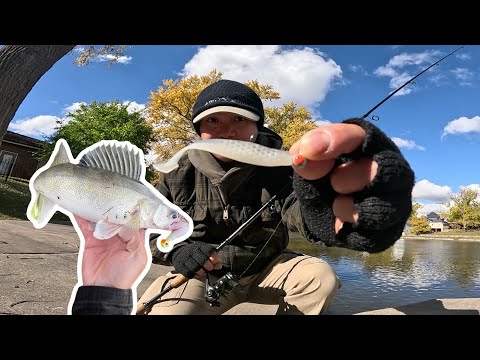 Видео: Ловля судаков с берега (сейчас самое время!)