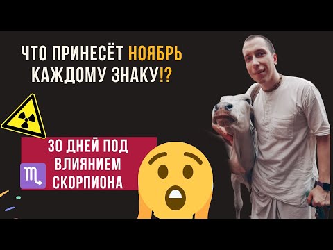 Видео: Ноябрь: энергия ♏Скорпиона очищает судьбу. Прогноз для всех знаков