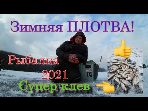 Видео: Зимняя ПЛОТВА! Рыбалка 2021. Супер клев! #maximusрыбалка #рыбалка2021