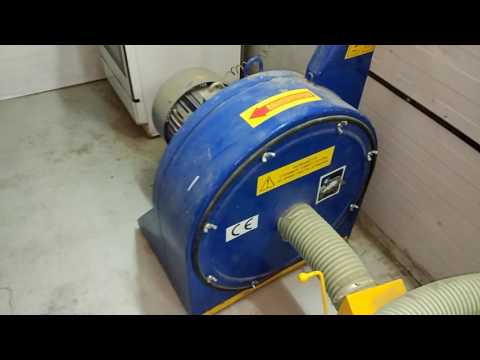 Видео: Рождение шиншилл: 44 день, 07.12.2016