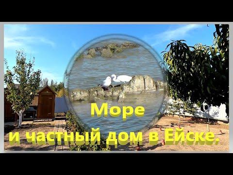 Видео: Море и частный дом в Ейске.