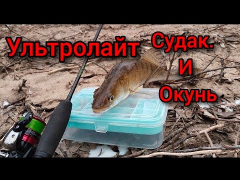 Видео: УЛЬТРОЛАЙТ в ГЛУХОЗИМЬЕ. Джиг-риг и уловистая приманка