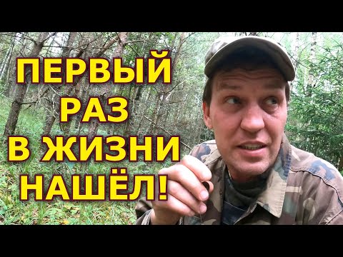 Видео: Опаааа!!! А вот где он был то! Прямо рядом с кладом! Нашел его, но они мешают искать!