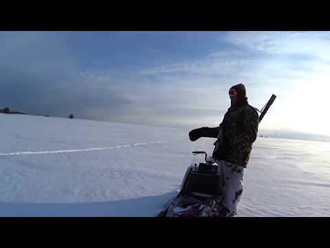 Видео: ПРОВЕРКА КАПКАНОВ/ПРИШЛИ ВОЛКИ.