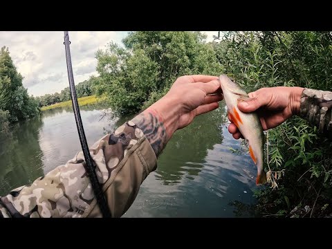 Видео: Рыбалка на ультралайт в городе! Ловим рыбу из трубы...снова!