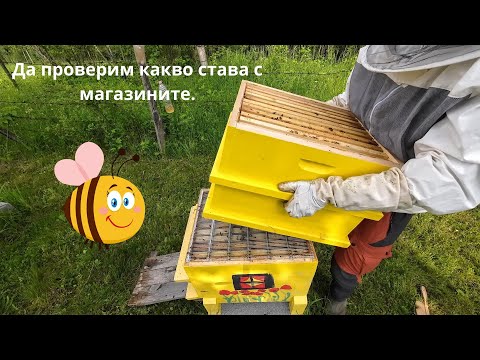 Видео: Да проверим какво става с магазините.