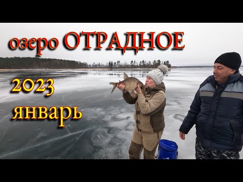 Видео: Рыбалка на о.Отрадное 2023.