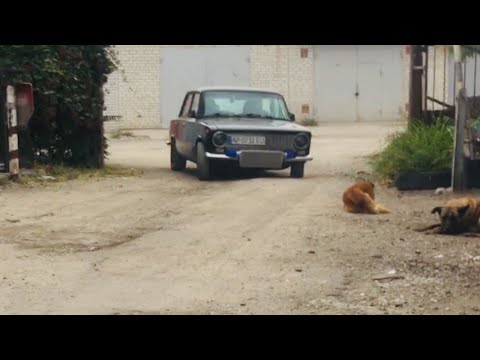 Видео: Настал час чернухи но я пока в это не верю