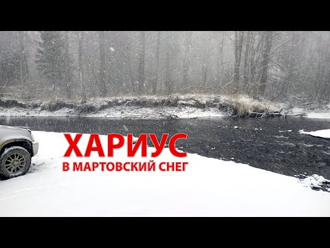 Видео: Рыбалка на хариуса, река Уссури и снег в конце марта.