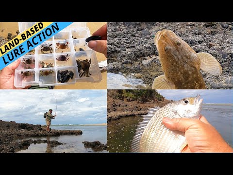 Видео: Ловля камбалы и леща на приманку с берега в нижнем эстуарии