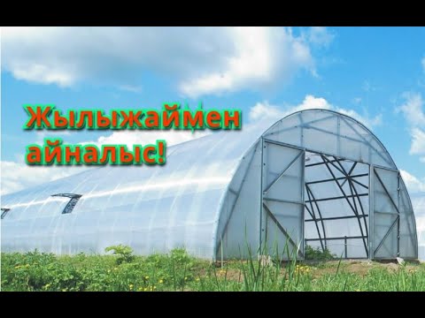 Видео: Жылыжайдан бай болу | Бөлім 1 (бизнес)
