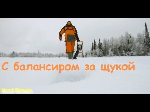 Видео: C балансиром за щукой.