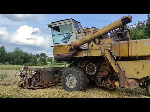 Видео: Нива СК-5!!!🇺🇦🇺🇦💪💪. ОСТАННІЙ ДЕНЬ ЗБИРАННЯ ЗЕРНОВОГО УРОЖАЮ. НАСТУПНИЙ УРОЖАЙ:СОЯ