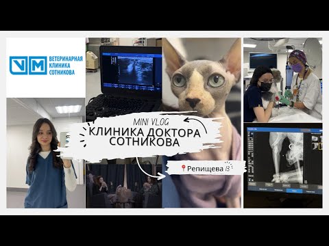 Видео: обзор клиники доктора Сотникова