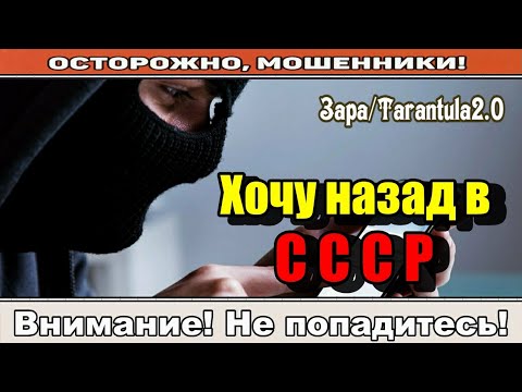 Видео: Мошенники звонят по телефону / Мальчики по вызову ( сборник ).